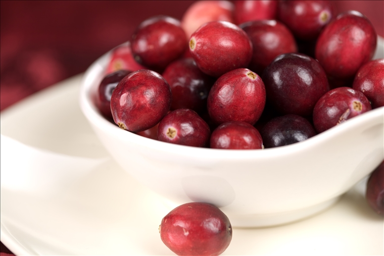 Brusinky - zdravé ovoce s léčivými účinky